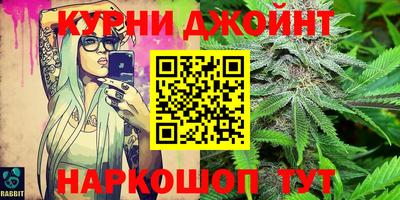 гидра Краснознаменск