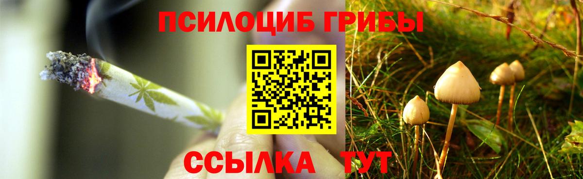 Егорьевск  Галлюциногенные грибы GOLDEN TEACHER  Вход с VPN 